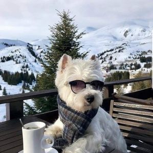 Meet your Posher, Shawna